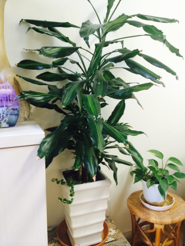 山本鑑定評価事務所